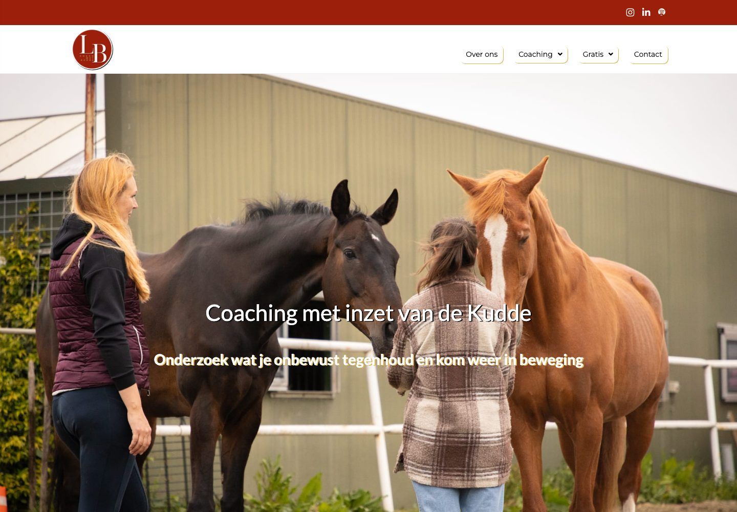 De website van Virtuella Online Support